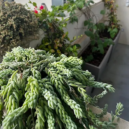 Club64 4* 안드리아