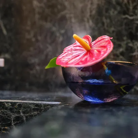 Club64 Couette-café 4*