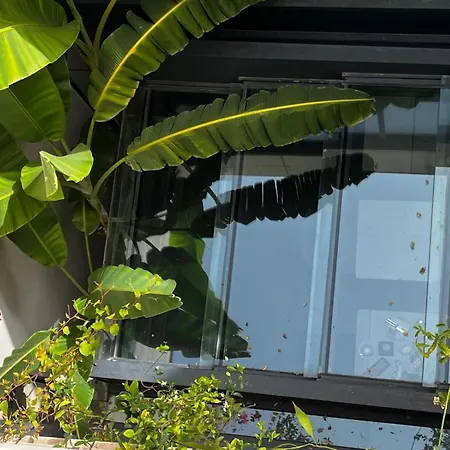Oda ve Kahvaltı Club64