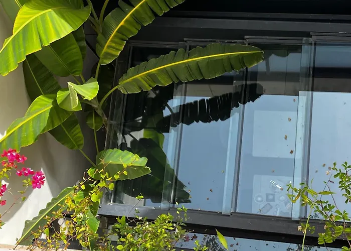 Oda ve Kahvaltı Club64